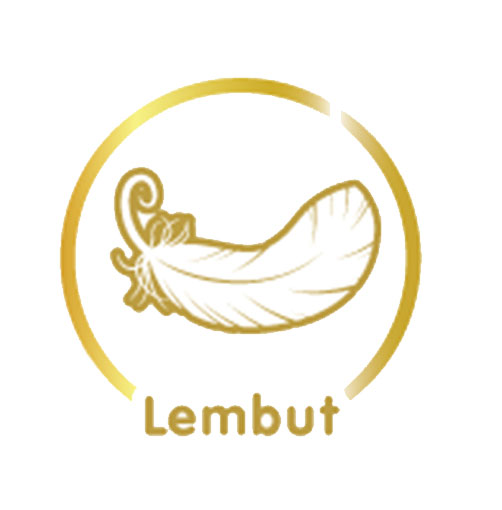 Lapisan Lembut